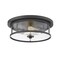 Z-Lite Savannah 2 Light Flush Mount, Bronze & Clear 462F14-BRZ - alternate 5